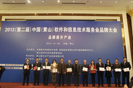 北京新思软件闪耀2013中国黄山软件品牌大会，技术服务实力斩获多项殊荣