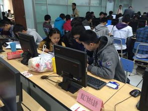 软件技术先行，服务护航未来